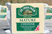 Acorn Dairy Cheese