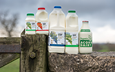 Acorn Dairy Milk Range